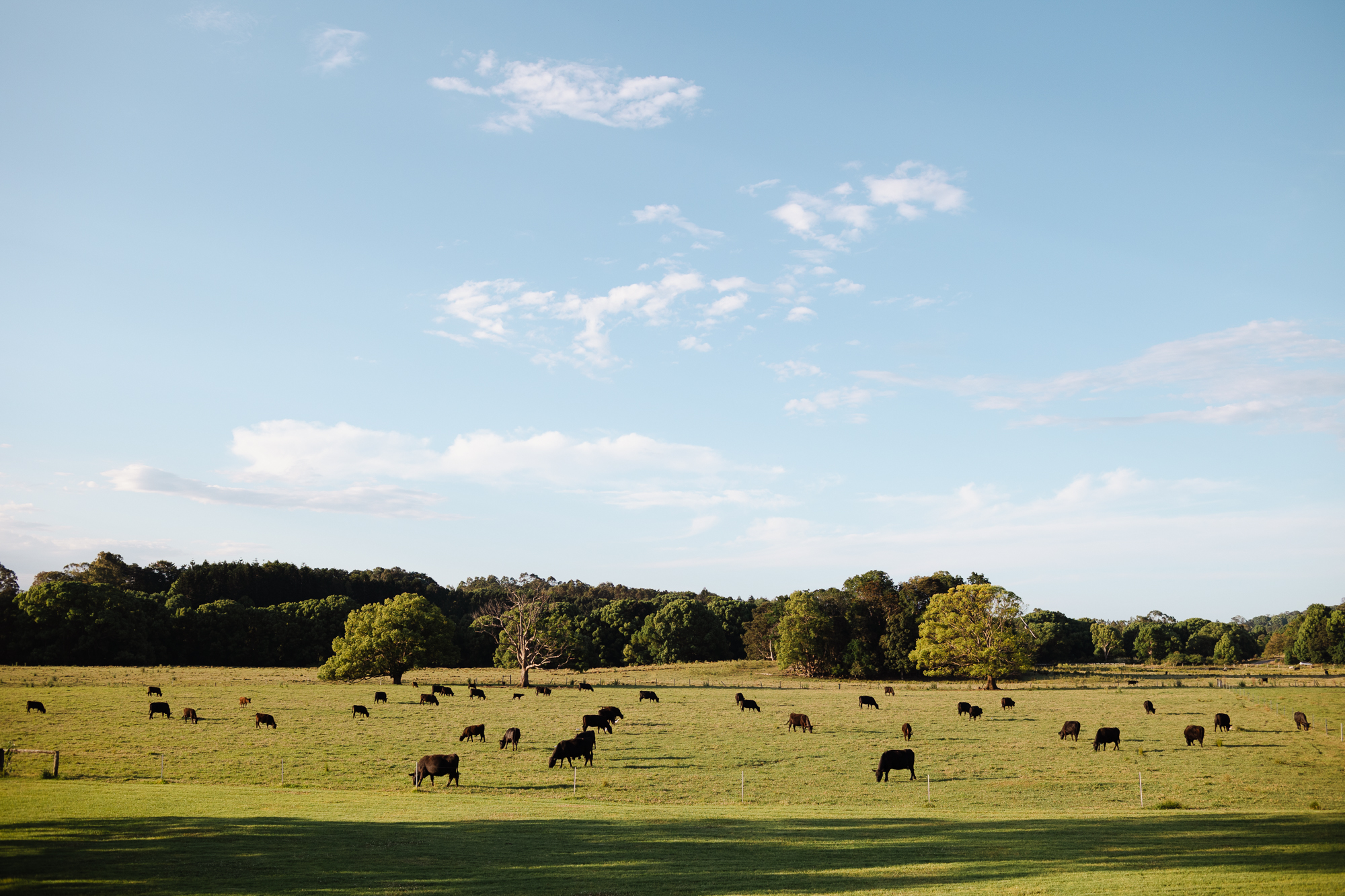 corporate event photography